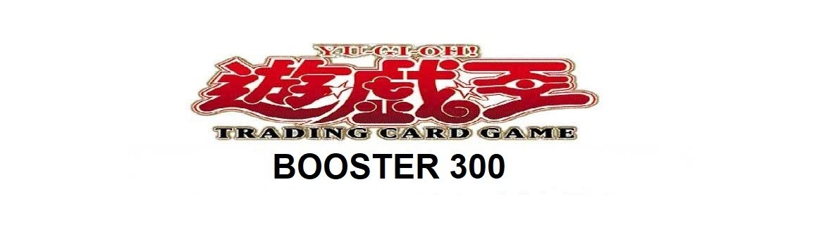 Booster 300